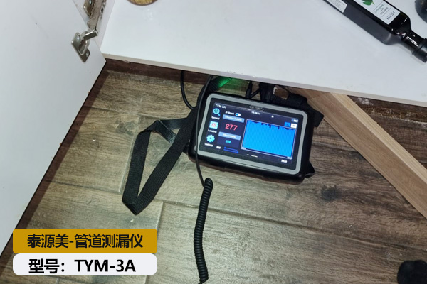 Pipeline leak detector