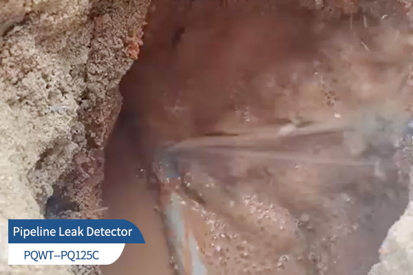 PQWT-125C pipe leak detector