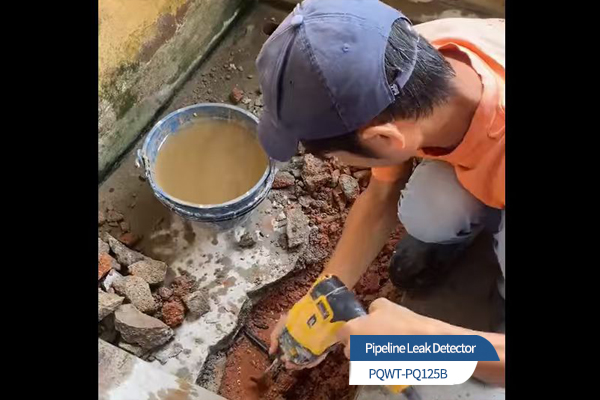 High-Sensitivity Leak Detector