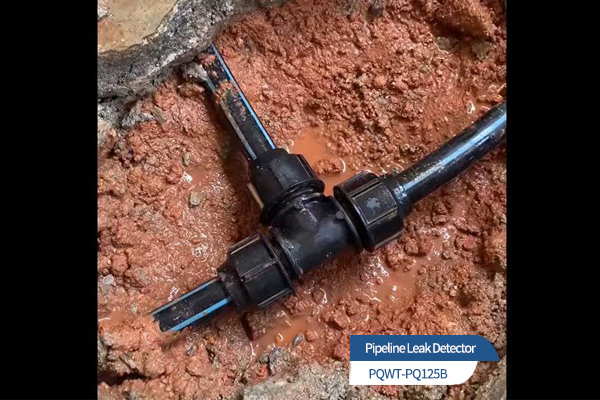 High-Sensitivity Leak Detector