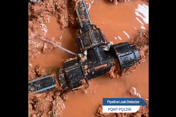 High-Sensitivity Leak Detector