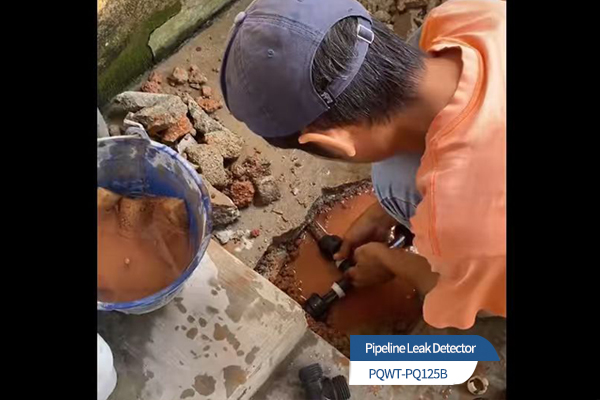 High-Sensitivity Leak Detector