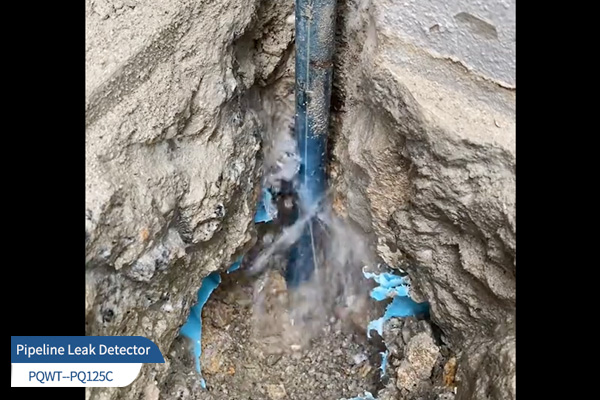 PQWT pipeline leak detector